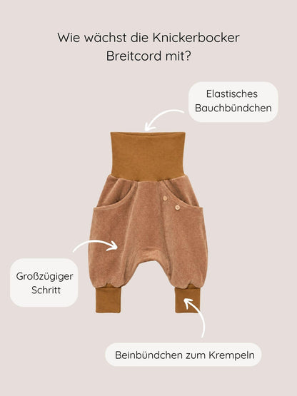 Knickerbocker Breitcord