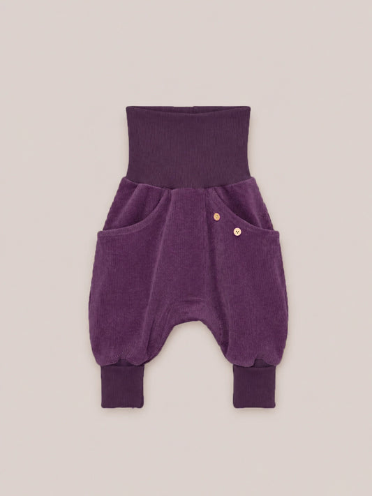 Knickerbocker Breitcord limited edition